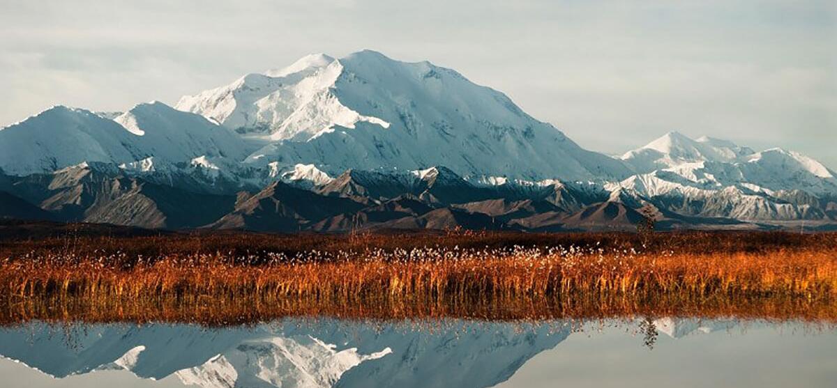 Denali: Seven Summits For Help