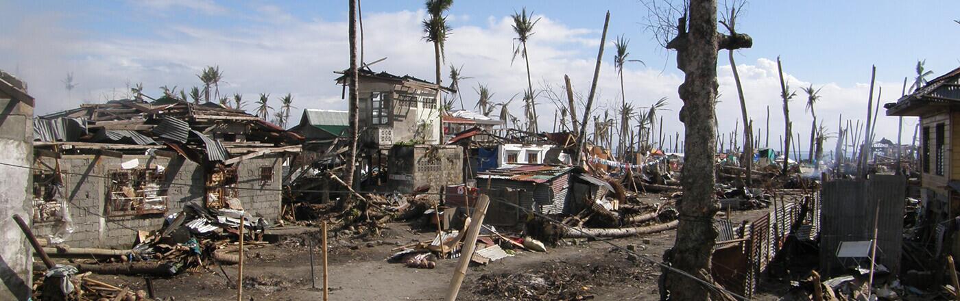 Zerstörtes Dorf und Bäume nach Taifun Haiyan