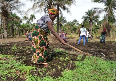 Landwirtin bei der Arbeit in Sierra Leone