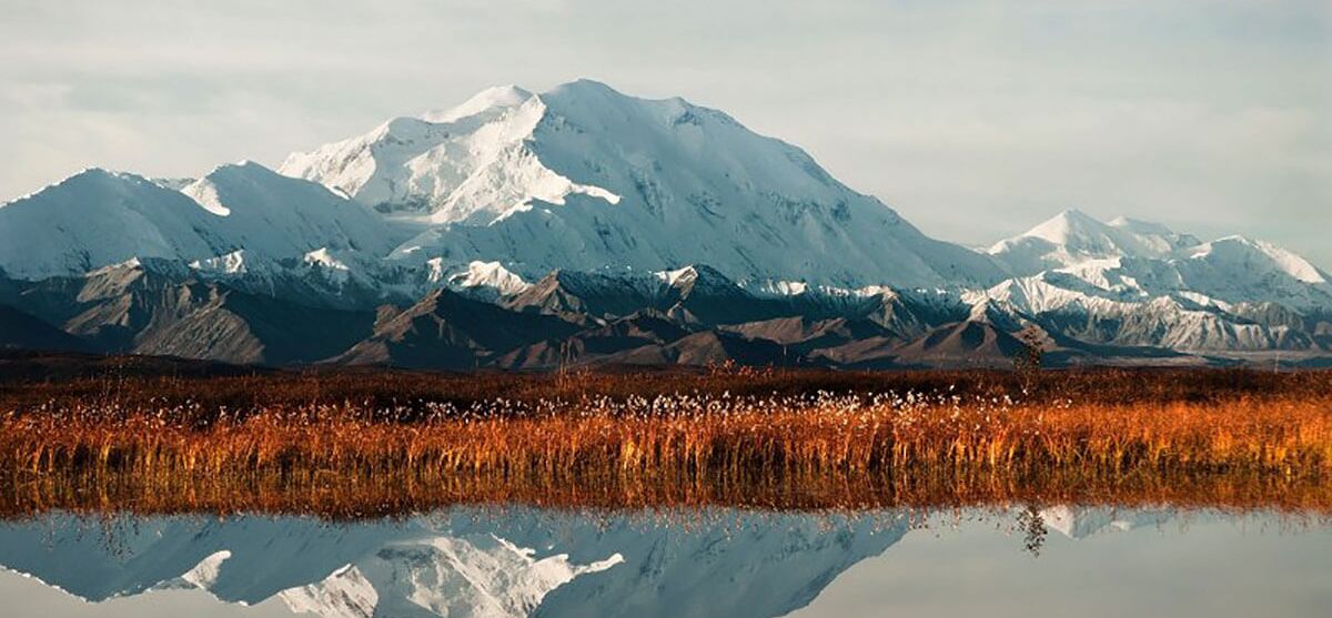Denali: Seven Summits For Help
