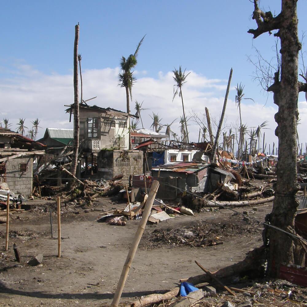 Zerstörtes Dorf und Bäume nach Taifun Haiyan