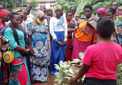 Modellgärten zur Ernährungssicherung in Uganda