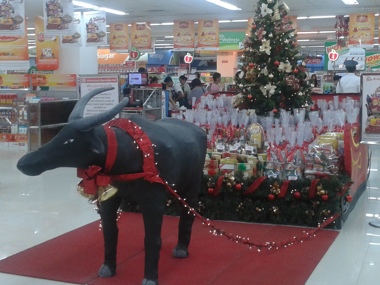 EA Dr. Sylvia Zayer_Rentier mit Schlitten